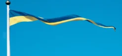Bandvimpel, Sverige