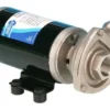 Cyclone pump HP 12V BSP
