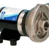 Cyclone pump LP 24V BSP