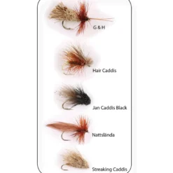 Flugkollektion Sedges 5p #12
