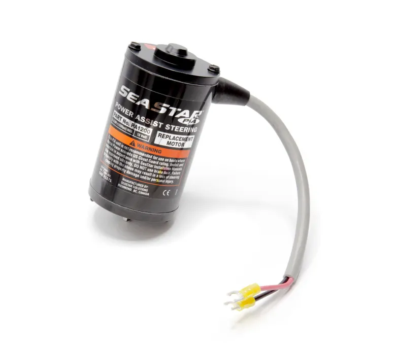 Power assist motor 12V