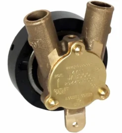 Pump brz csm 020 1" hose