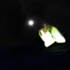 Spinlock Lume-on Säkerhetslampa